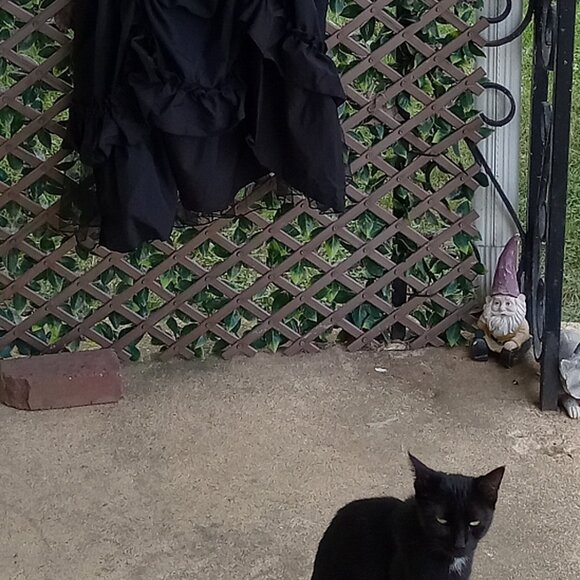 Halloween gothic witch steampunk black dress size XL - Picture 3 of 13